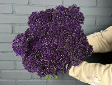 На складе новое поступление! Срезанные цветы